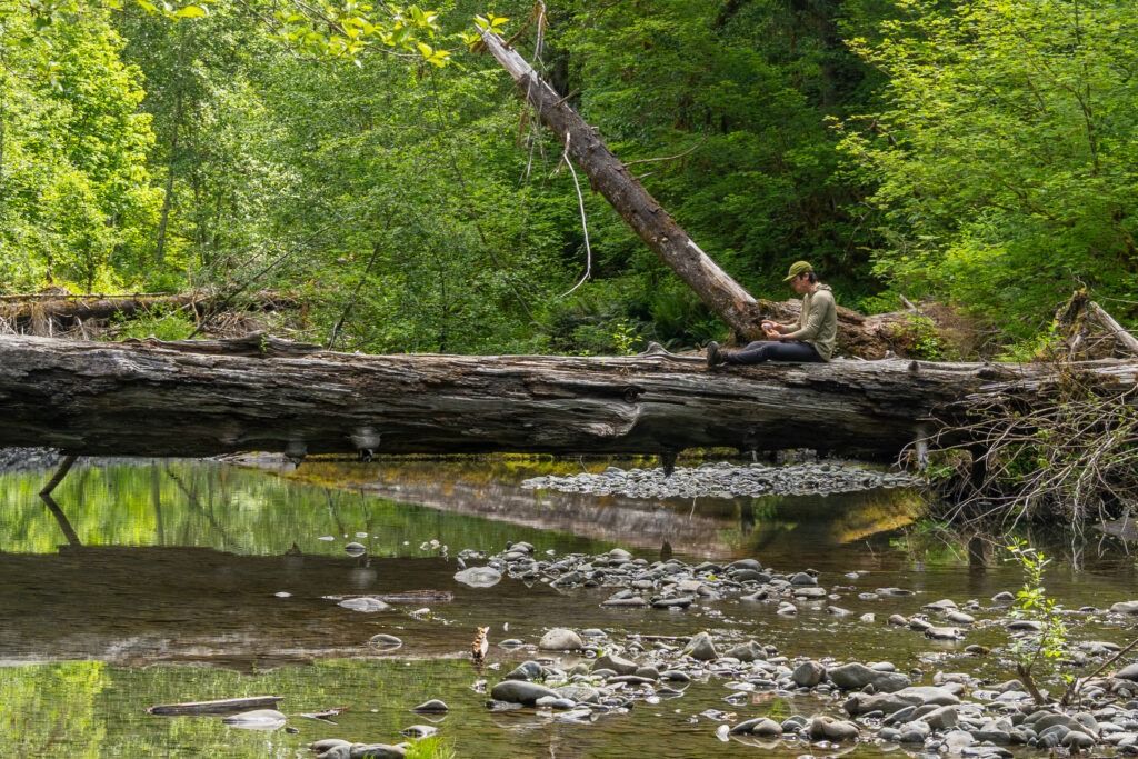 A hiker wearing a green hat and shirt resting on a massive fallen tree trunk that spans across the Hoh River in the vibrant, lush green Hoh Rain Forest.