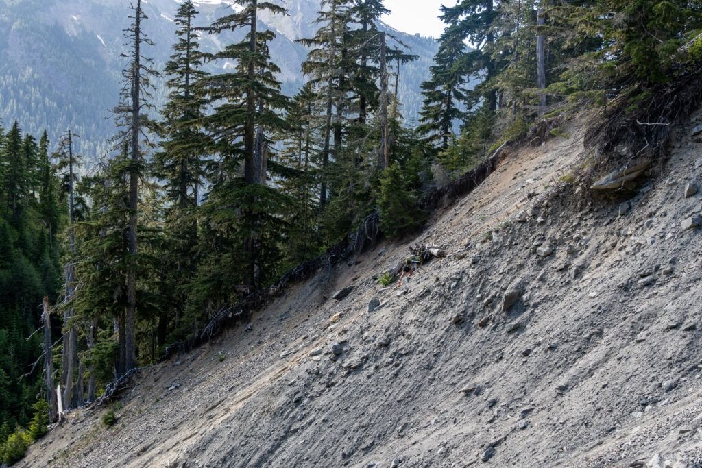 A hiker with a large backpack traversing a steep, severely eroded hillside covered in loose dirt and rocks, bordered by tall evergreen trees on the left.